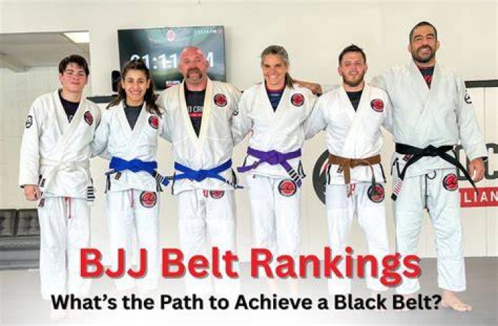 Who has the highest belt in BJJ?