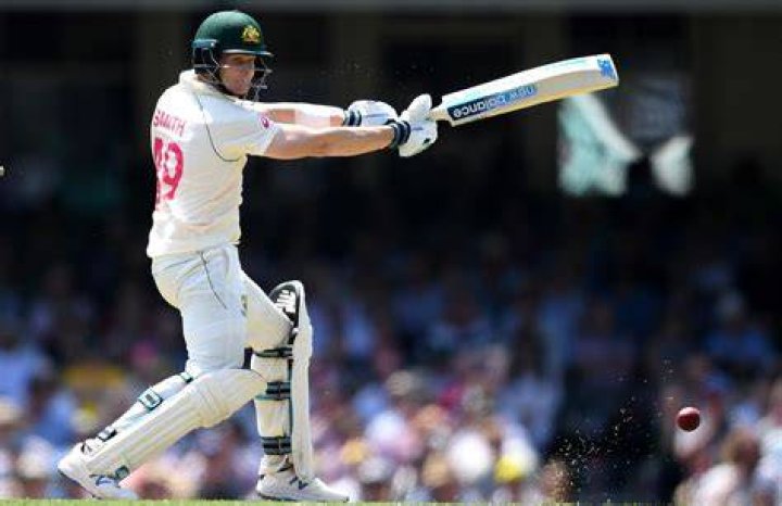 Who is a batter in cricket?