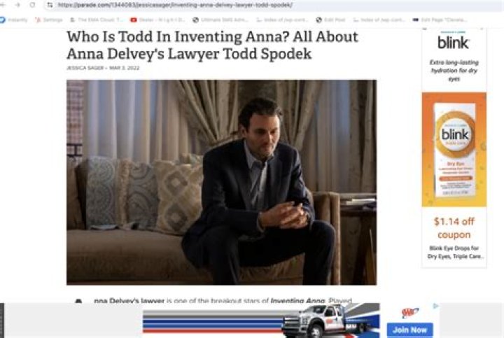 Who is lawyer in Inventing Anna?