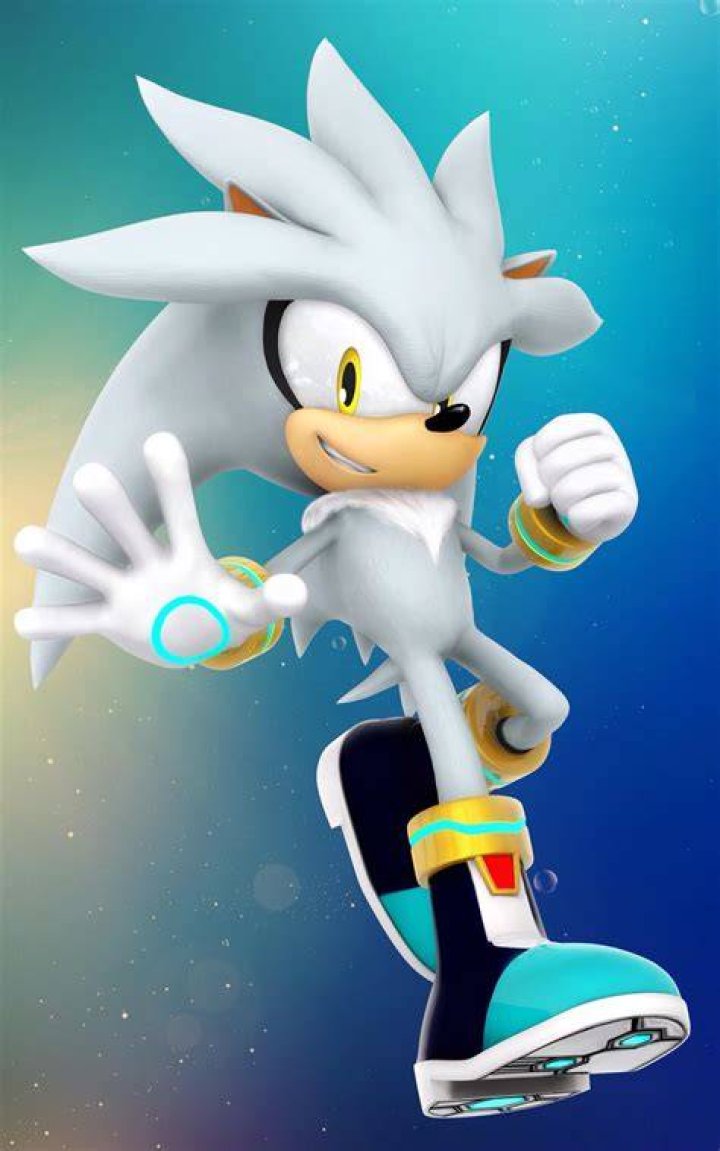 Who is Silver the Hedgehog?
