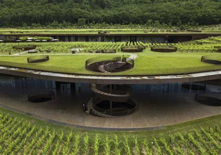 Who is the biggest winery in the world?