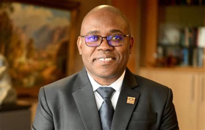Who is the Vice Chancellor of American University of Nigeria?