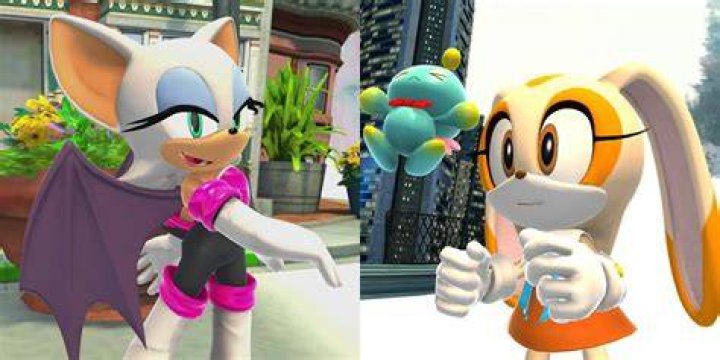 Who is the White hedgehog in Sonic?