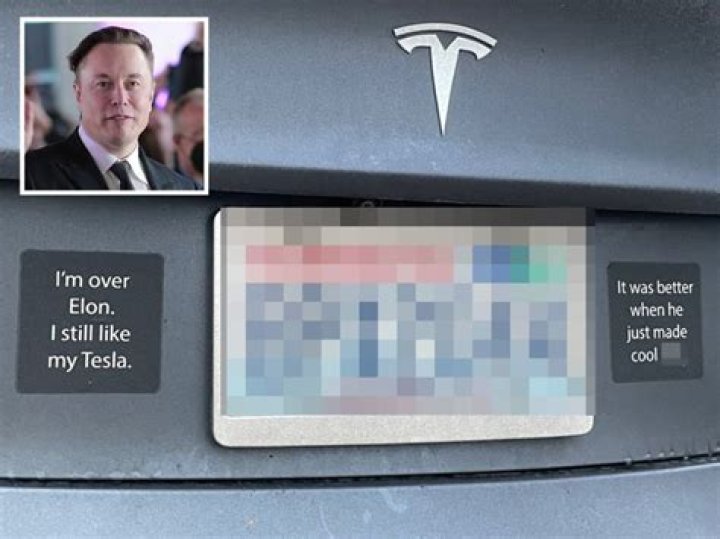 Who owned Tesla before Elon Musk?