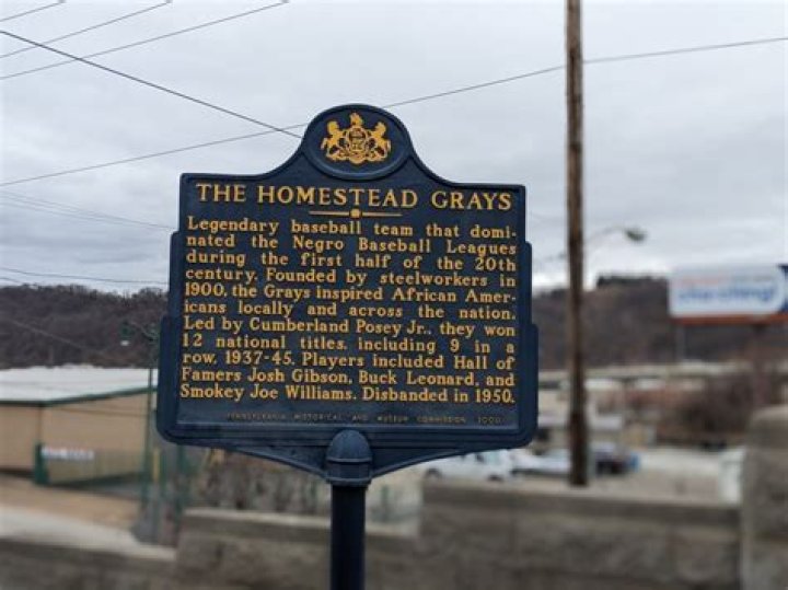 Who owned the Homestead Grays?