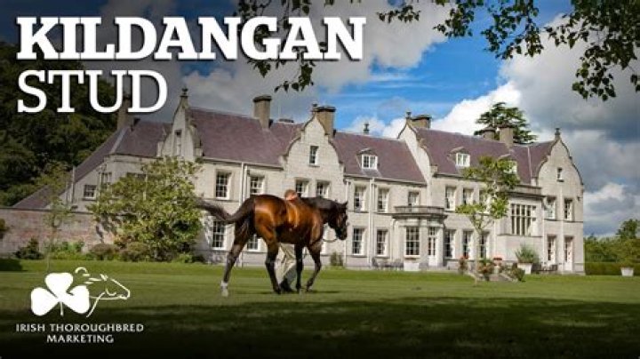 Who owns Kildare stud?
