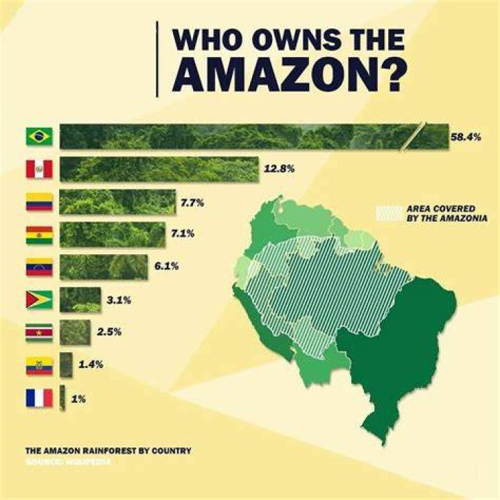 Who owns the Amazon forest?