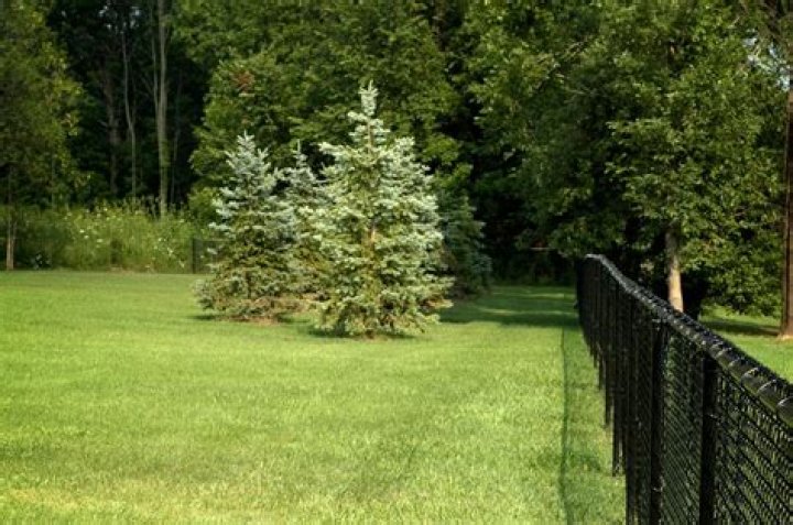 Who owns the fence at the back of my garden?
