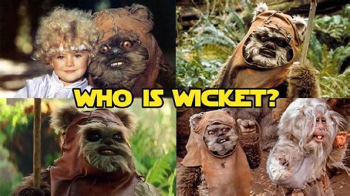 Who take most wicket in one over?