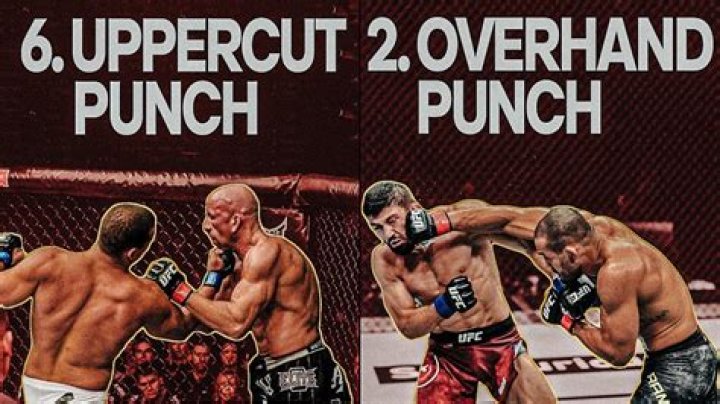 Who threw the most punches in UFC?
