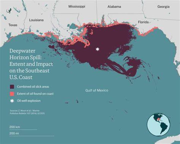 Who was at fault for Deepwater Horizon?