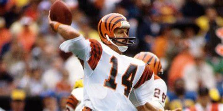 Who was the Bengals quarterback in 1981?