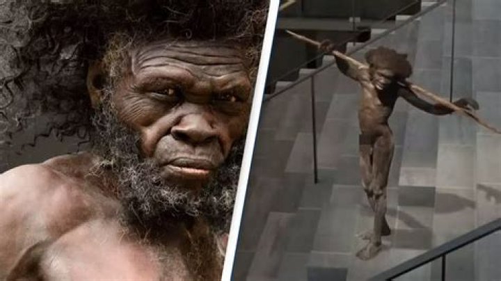 Who was the first human?