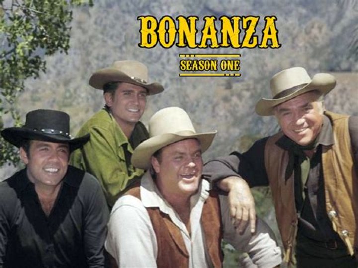 Who were the 3 sons on Bonanza?