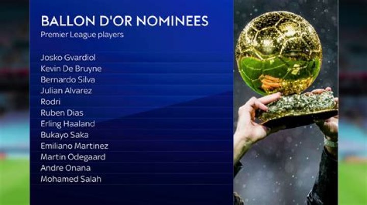 Who won Ballon dor in 2003?