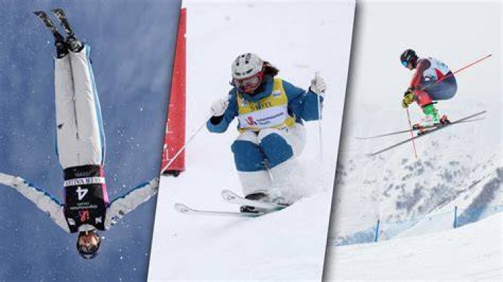 Who won freestyle moguls?