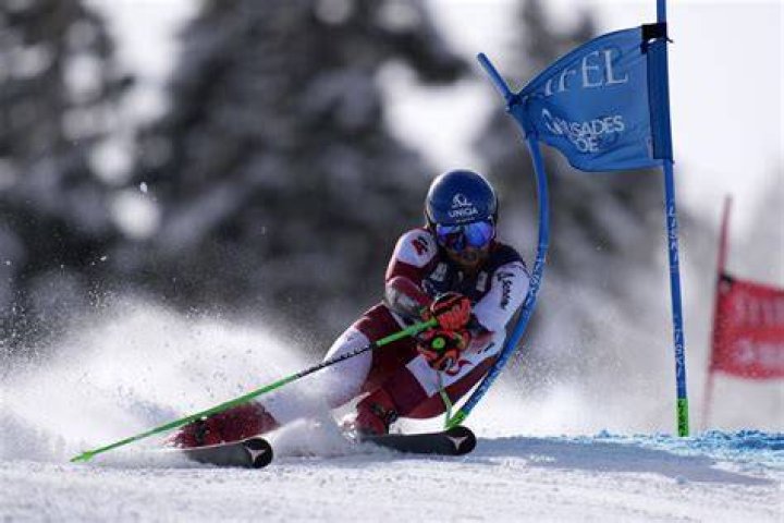 Who won men's giant slalom 2022?