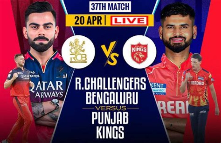 Who won the toss RCB vs Punjab?