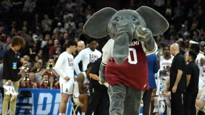 Why are Alabama elephants?