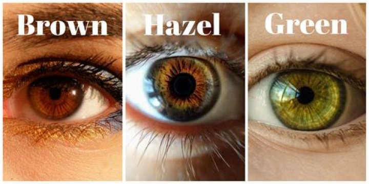 Why are green eyes called hazel?
