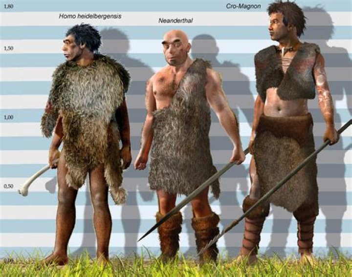 Why are humans so tall?