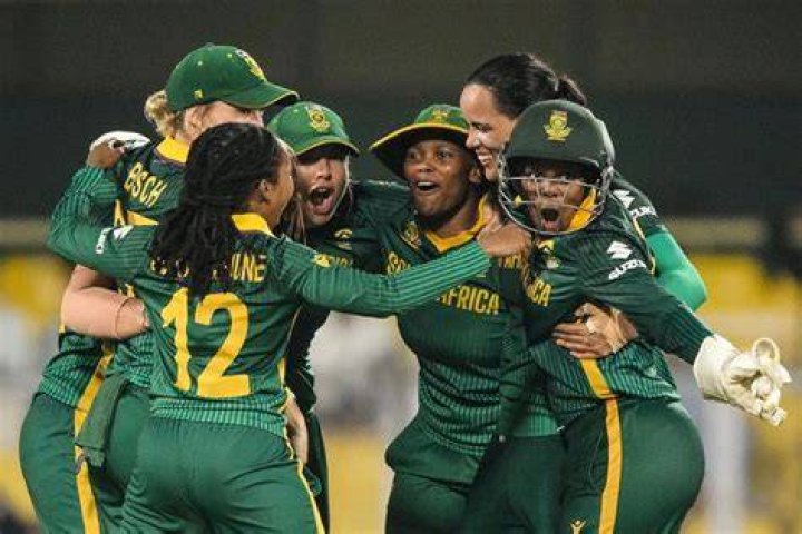Why are South African cricket team called Proteas?