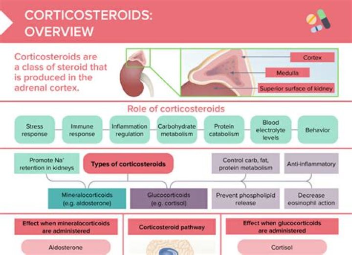 Why are steroids given with Rituxan?