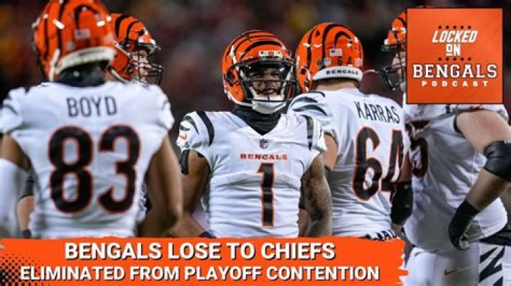 Why are the Bengals called the Bengals?