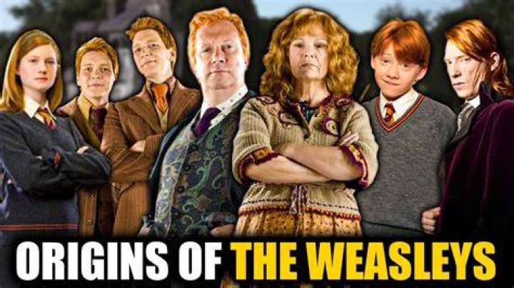 Why are the Weasleys looked down upon?
