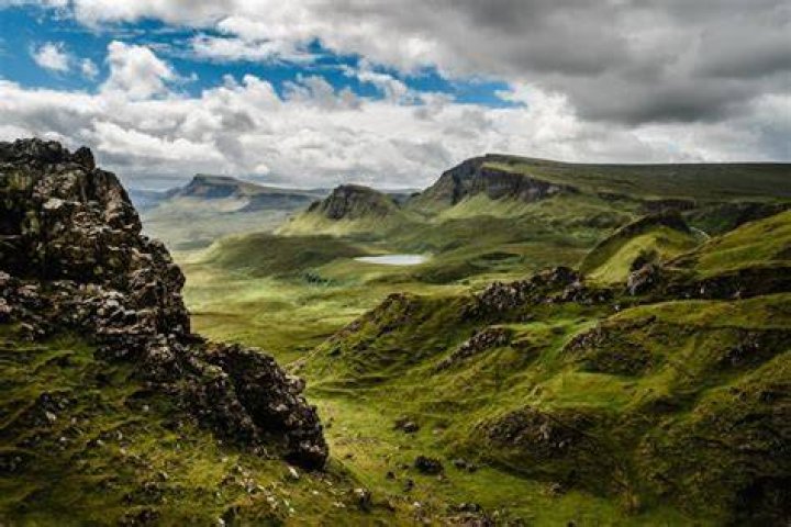 Why are there no trees in Scotland?