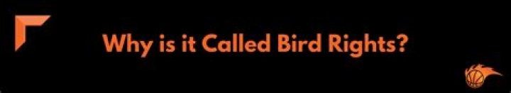 Why are they called Bird rights in NBA?