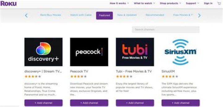 Why can't I get Discovery Plus on Roku?