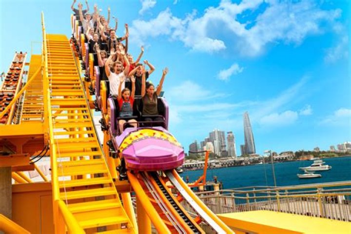 Why can't Some people handle roller coasters?