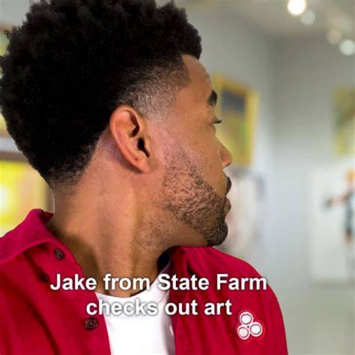 Why did Jake from State Farm become black?