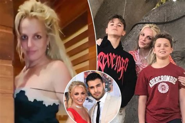 Why did they take Britney Spears dogs away?