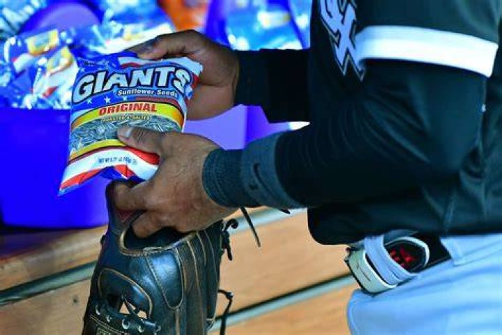 Why do baseball players eat seeds?