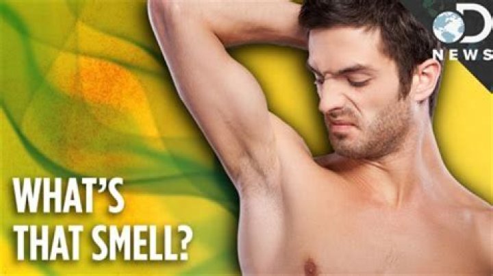 Why do boys smell?