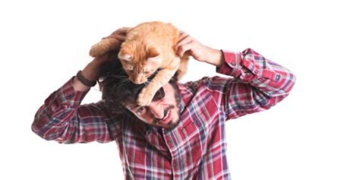 Why do cats sneak up on you?