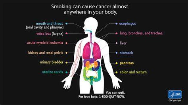 Why do cigarettes make you skinny?