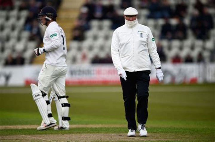 Why do cricket umpires wear white?