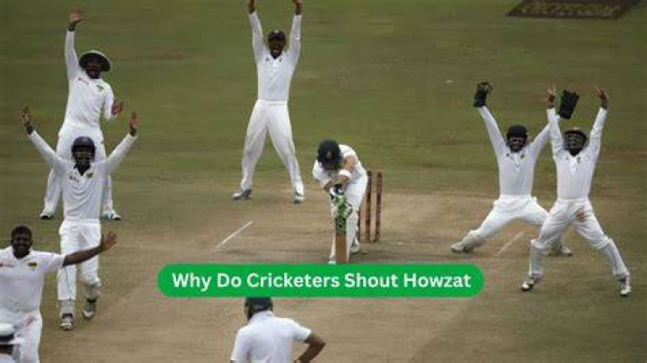 Why do cricketers say Howzat?