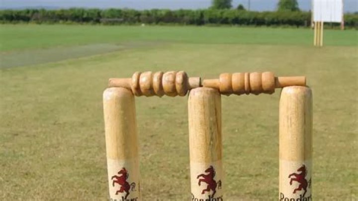 Why do cricketers take the stumps?