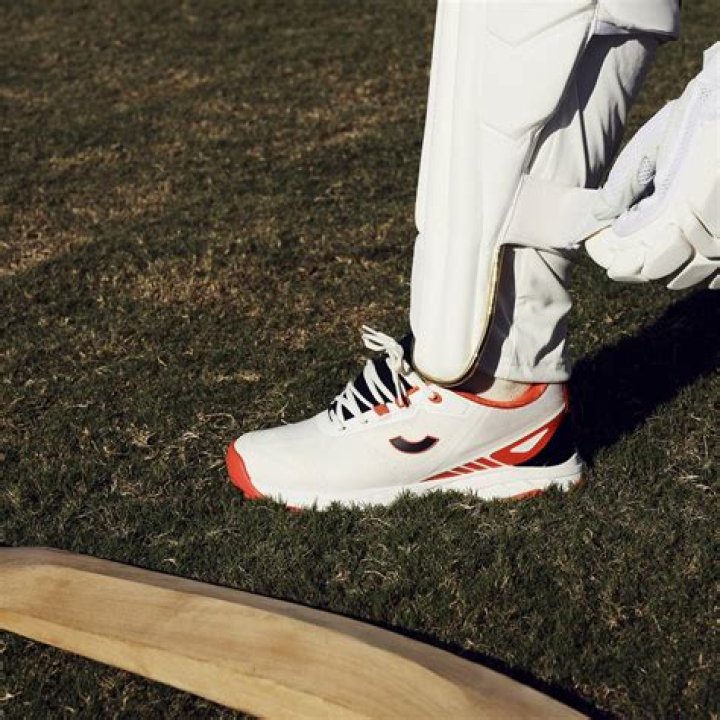 Why do cricketers wear vests in summer?