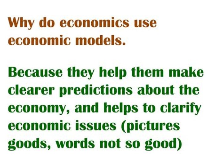 Why do economists use models?
