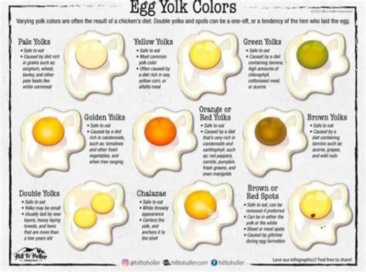 Why do eggs sometimes look grey?