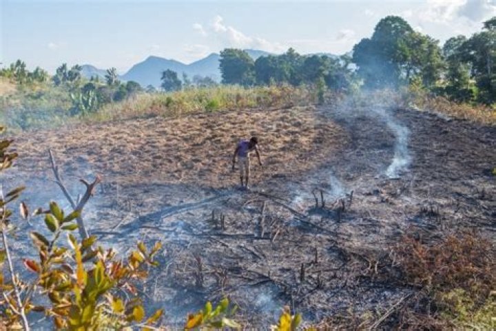 Why do farmers burn canals?