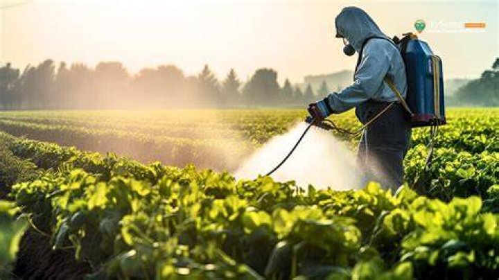 Why do farmers use urea?