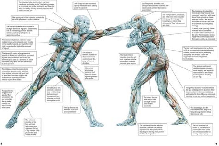 Why do fighters scream when punching?