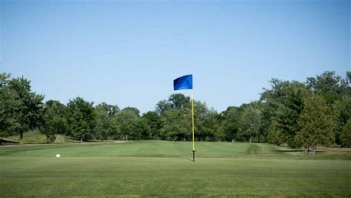 Why do golfers take the flag out?