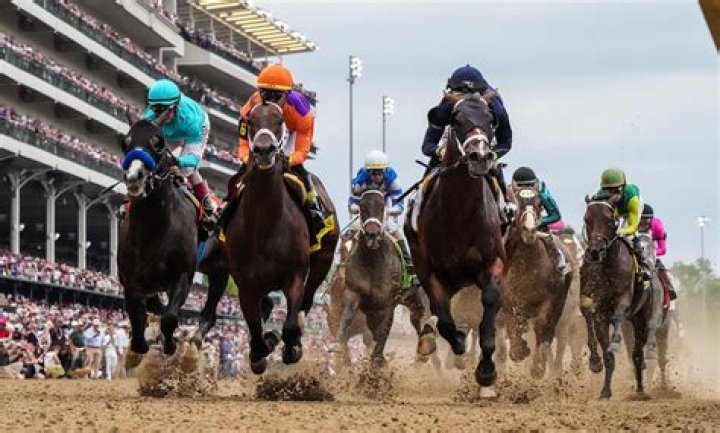 Why do horses stop racing after 3 years?